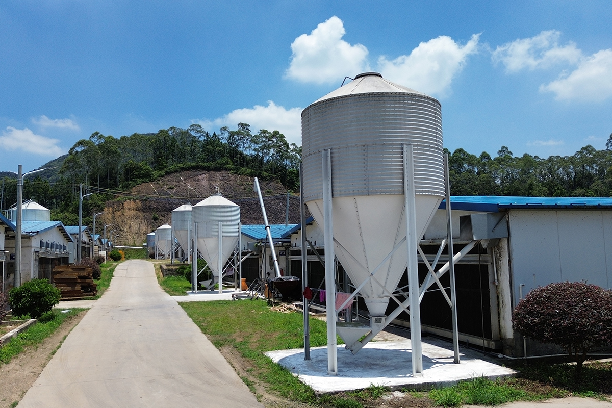 zidongweiliao